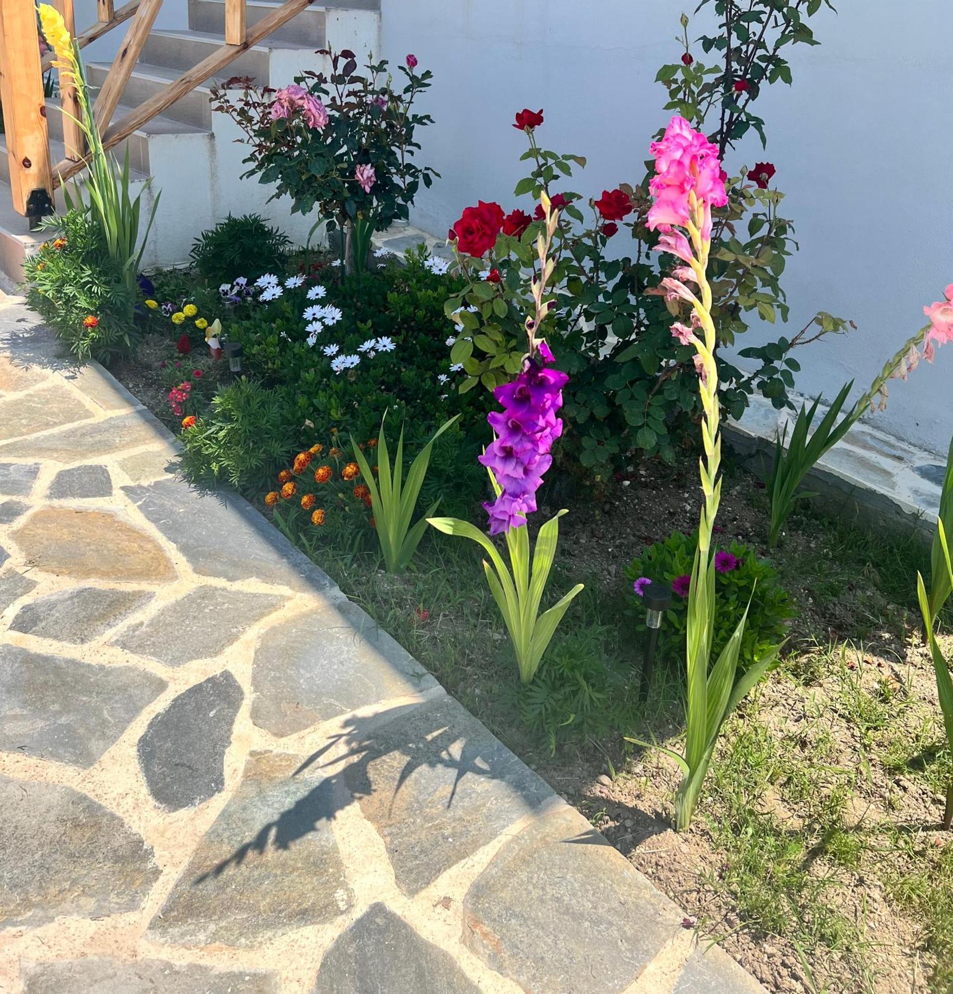 Beachfront Villa Athina Vergia Zewnętrze zdjęcie